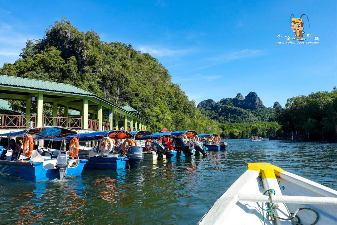 Jelajahi Ekosistem Mangrove Langkawi dengan Mangrove Tour